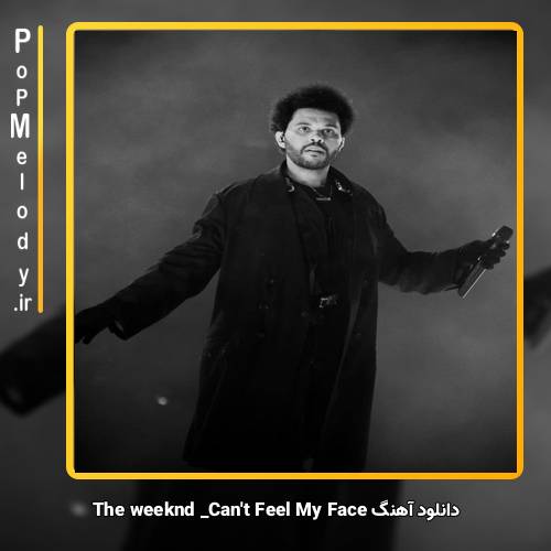 دانلود آهنگ The Weeknd Can’t Feel My Face